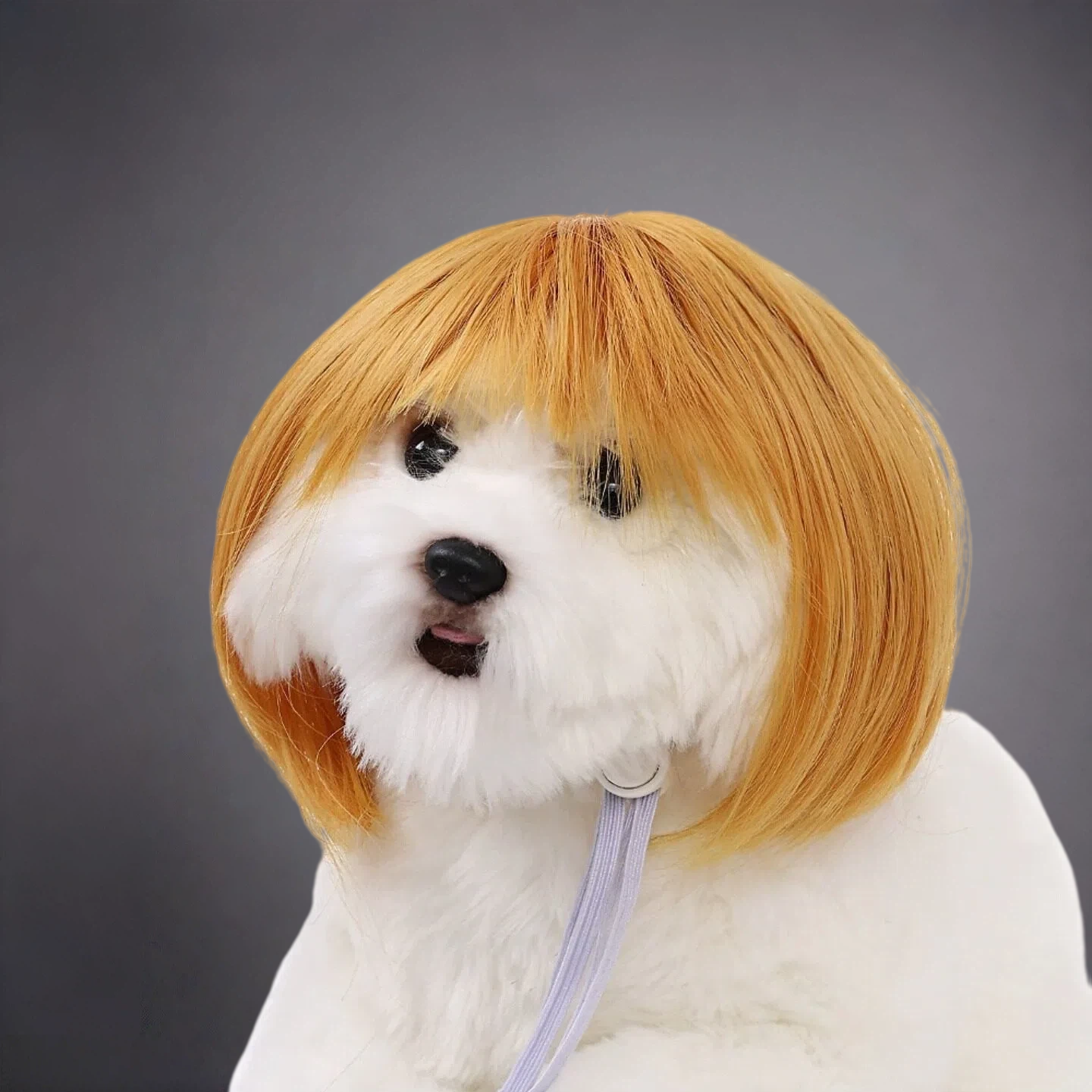 Pet Bob Wig for Dogs & Cats – Funny Short Hair Costume Hairpiece for Cute Photos & Dress-Up