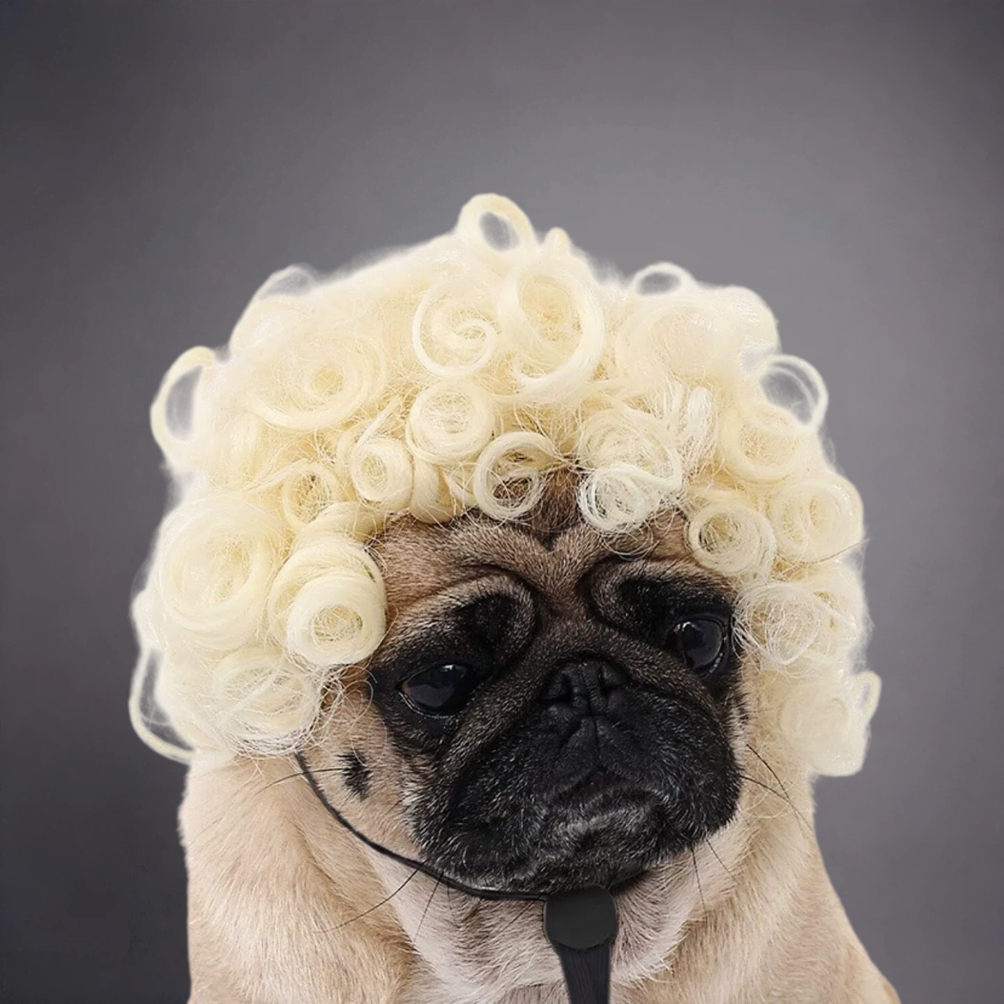 Pet Afro Wig for Dogs & Cats – Funny Curly Explosion Hair Costume for Cute Photos & Dress-Up