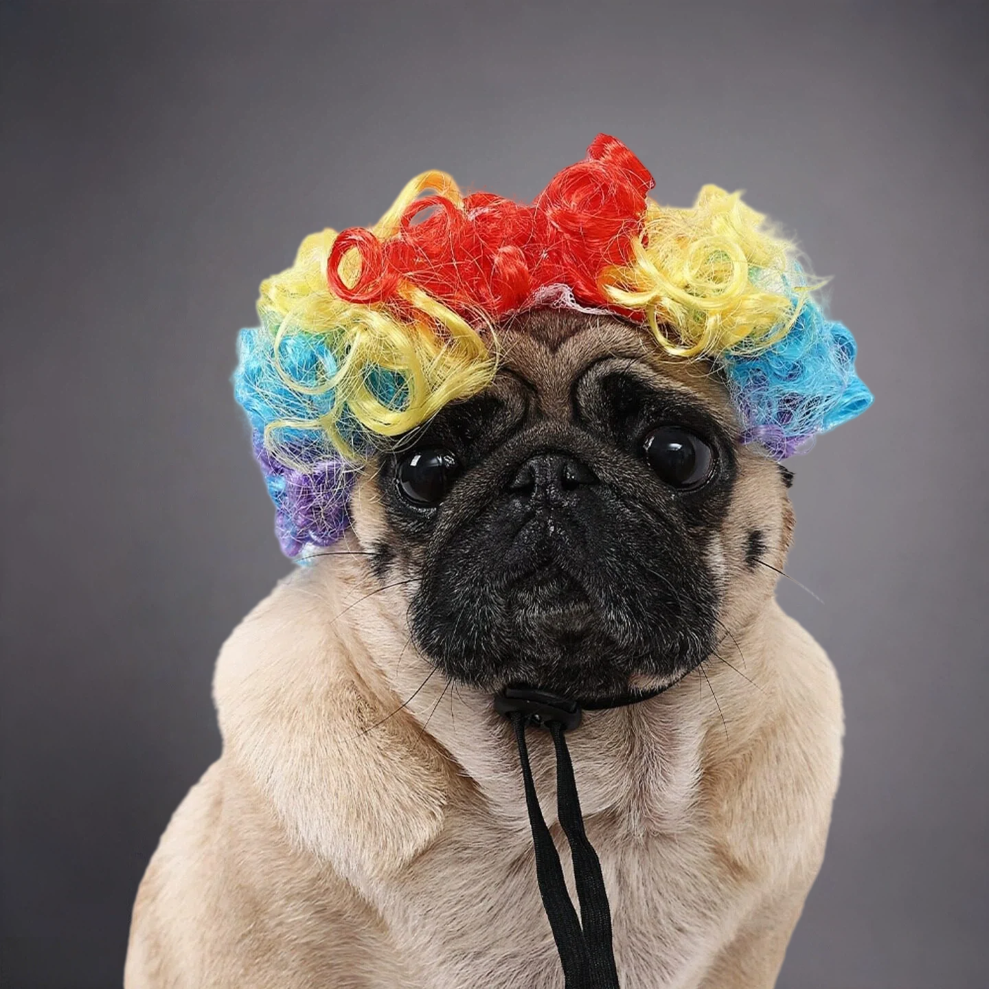 Pet Afro Wig for Dogs & Cats – Funny Curly Explosion Hair Costume for Cute Photos & Dress-Up
