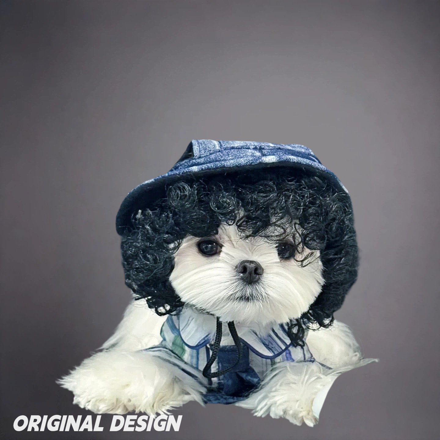 Pet Afro Wig for Dogs & Cats – Funny Curly Explosion Hair Costume for Cute Photos & Dress-Up