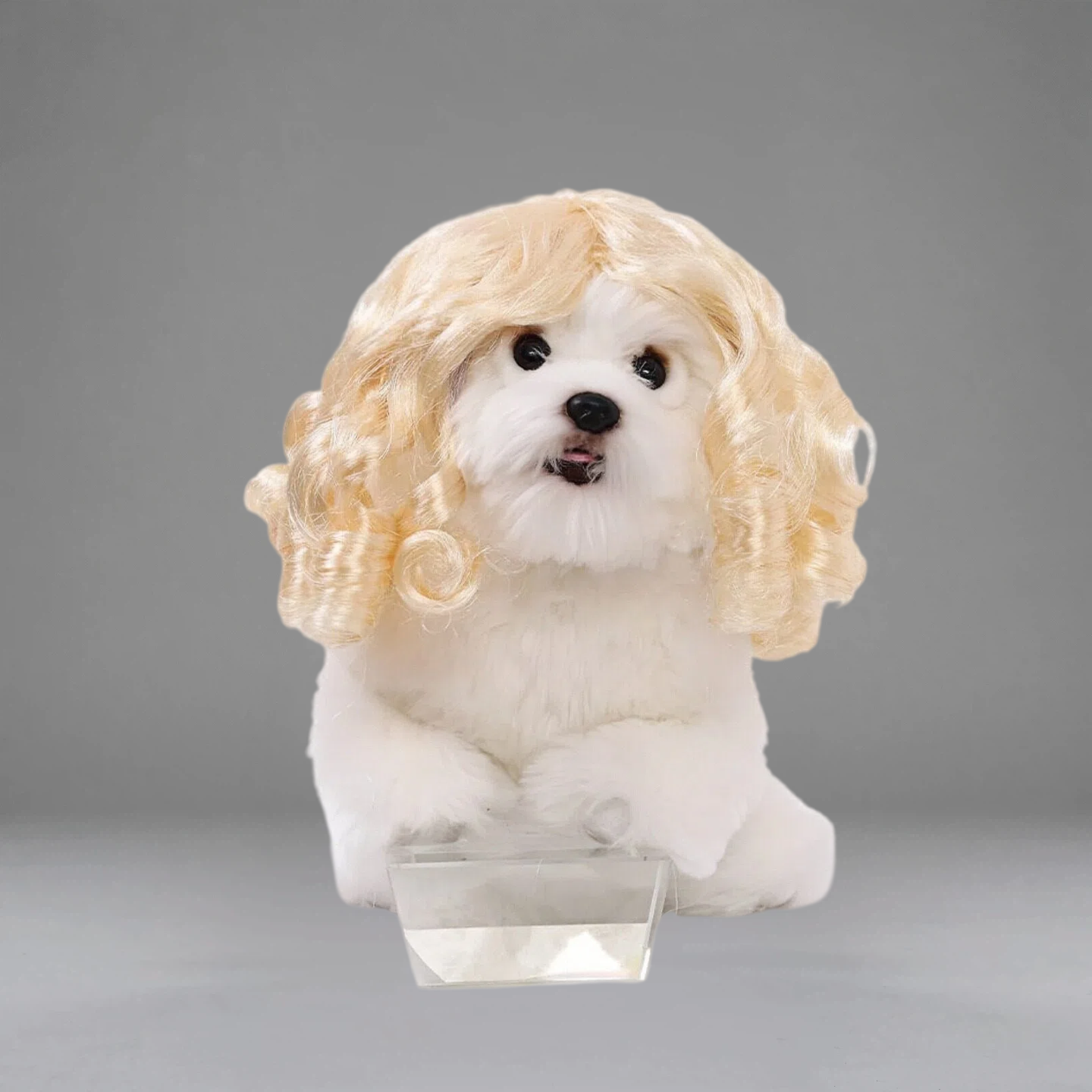 Golden Curly Pet Wig | PET ARTIST
