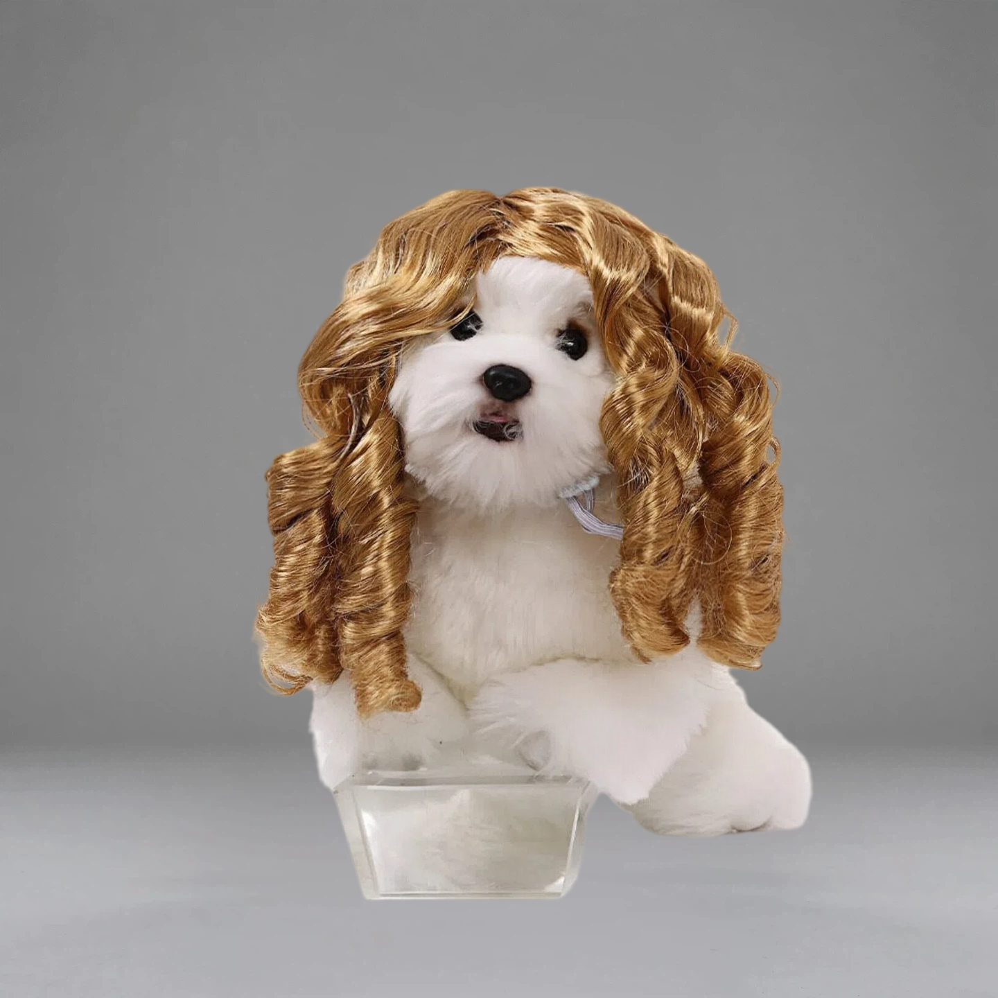 Golden Curly Pet Wig | PET ARTIST