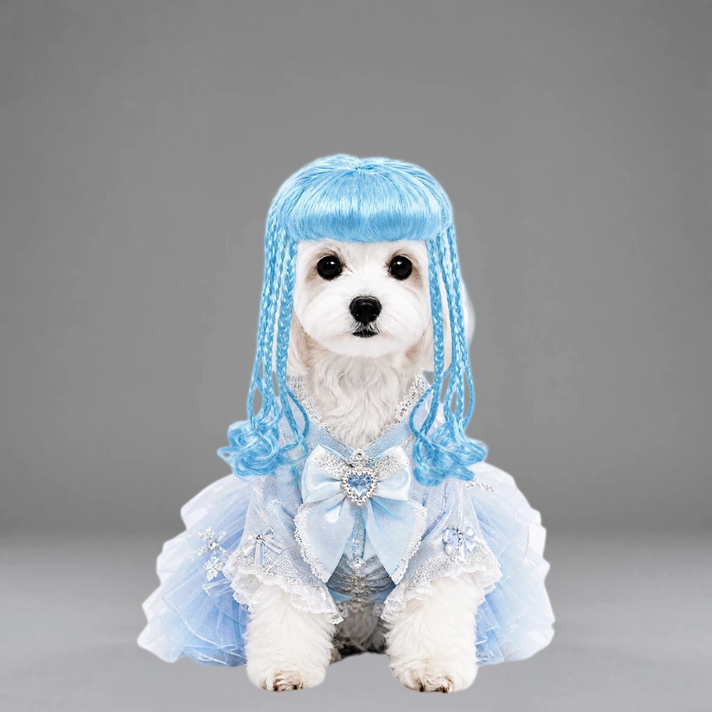 Gothic Braids Pet Wig | PET ARTIST